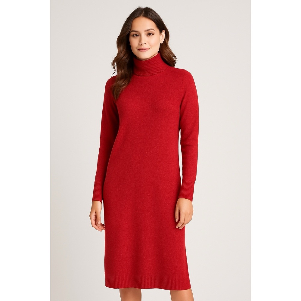 Style & Co Women's Sweater Dress Red Turtleneck‎ Long Sleeve Knit Size M NWT